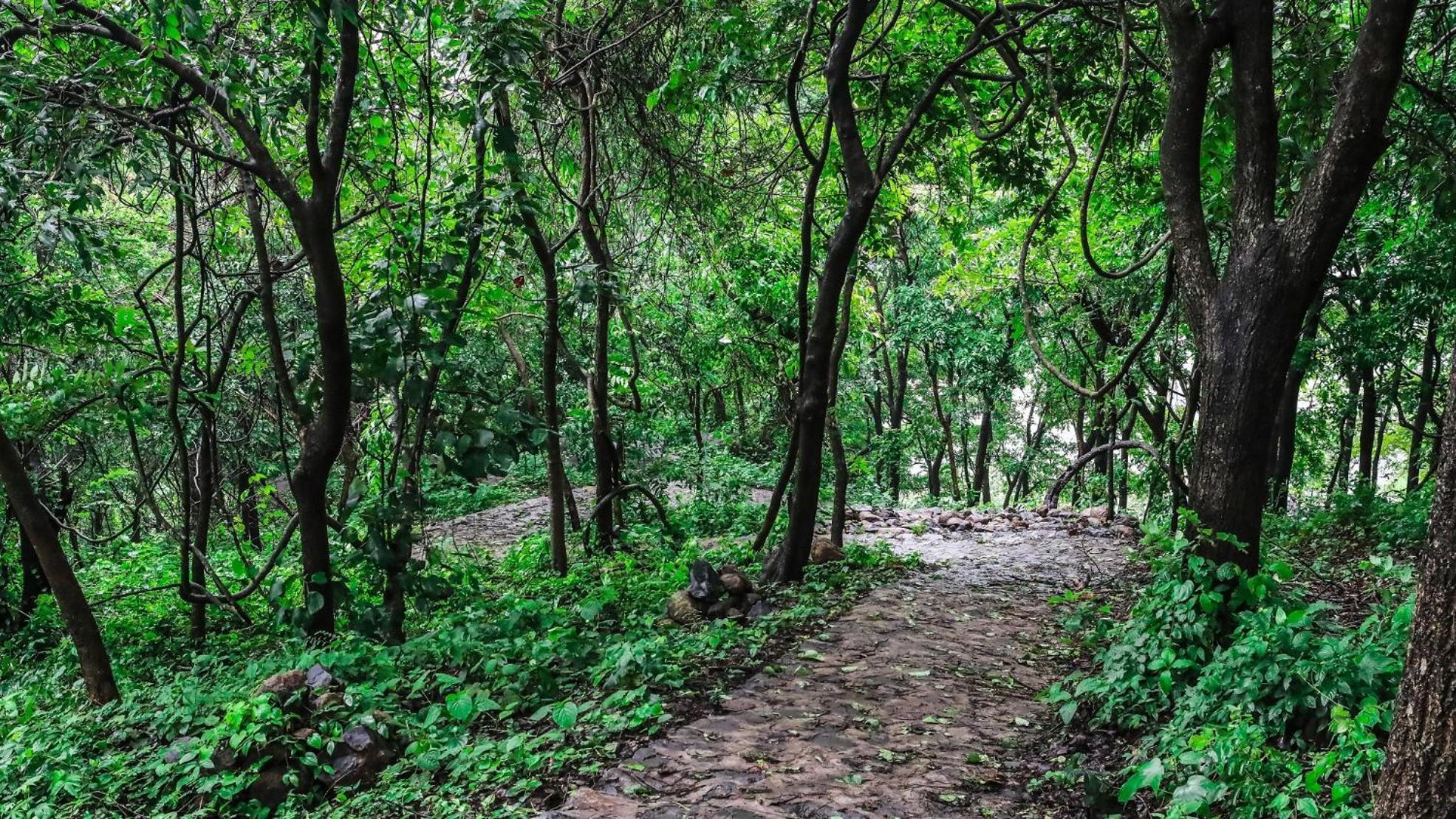 Misty Green Hills Parks & Resorts Kondotty Esterno foto