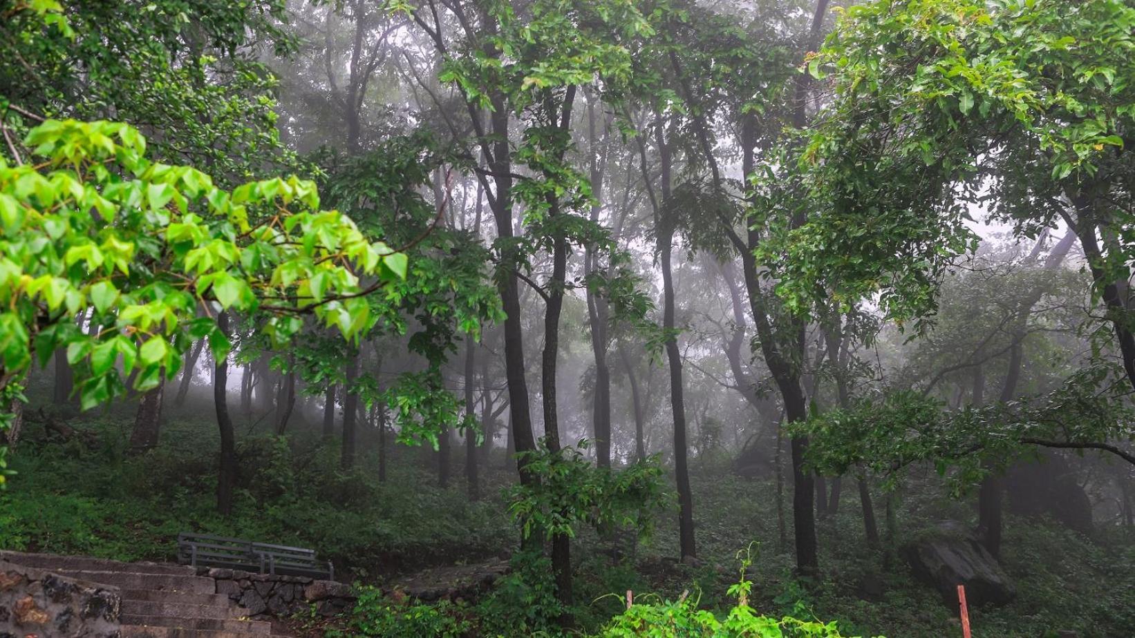 Misty Green Hills Parks & Resorts Kondotty Esterno foto