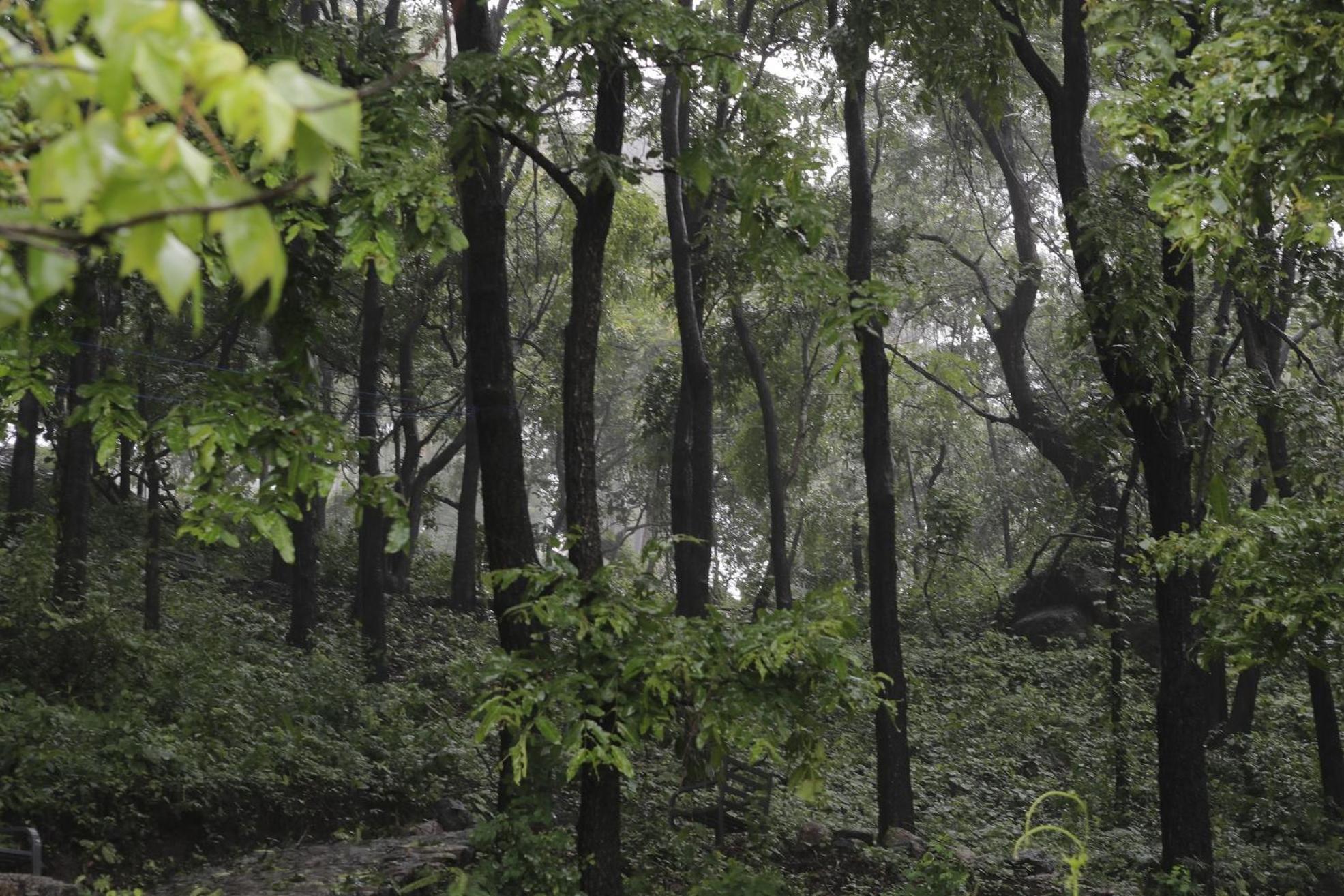 Misty Green Hills Parks & Resorts Kondotty Esterno foto