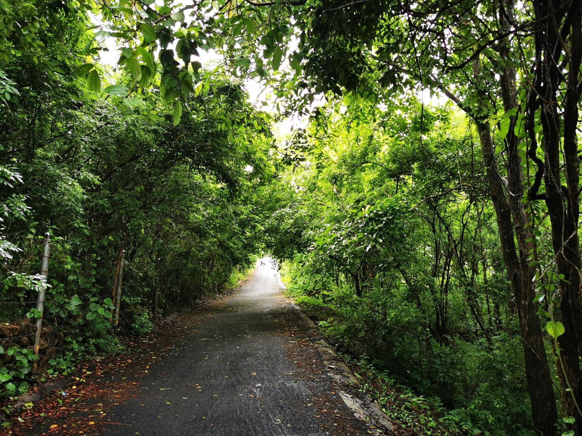 Misty Green Hills Parks & Resorts Kondotty Esterno foto